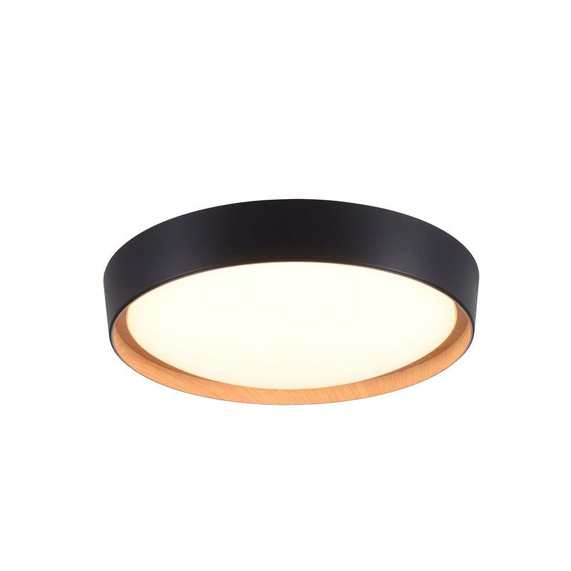 Plafoniera Paul Neuhaus EMILIA LED Negru