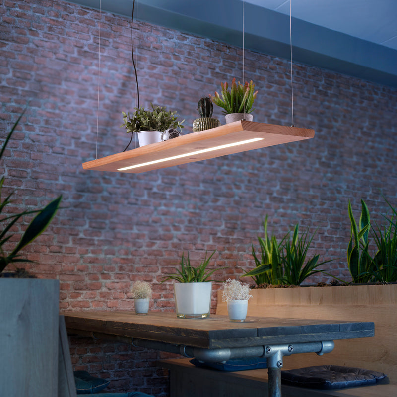 Lustra Paul Neuhaus PALMA LED Negru