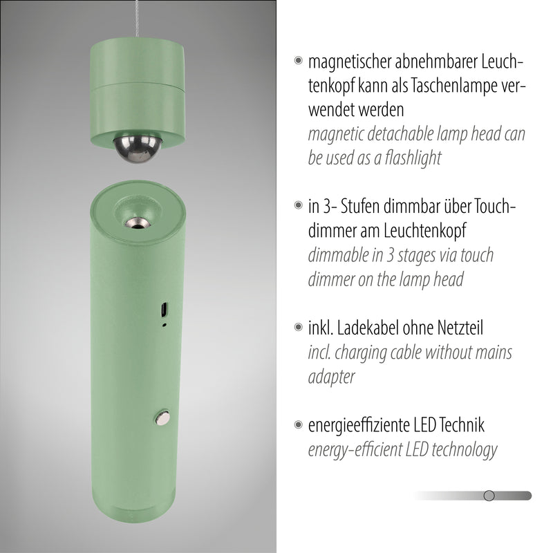 Lustra Paul Neuhaus ATTACH LED Verde Deschis
