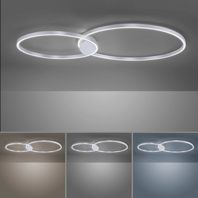 Plafoniera Paul Neuhaus Q-KATE 2xLED Otel