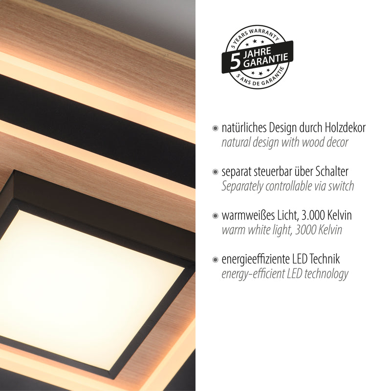 Plafoniera Paul Neuhaus TOLA LED Negru