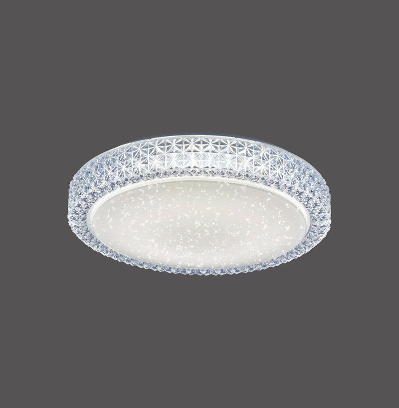 Plafoniera Paul Neuhaus FRIDA LED Transparent