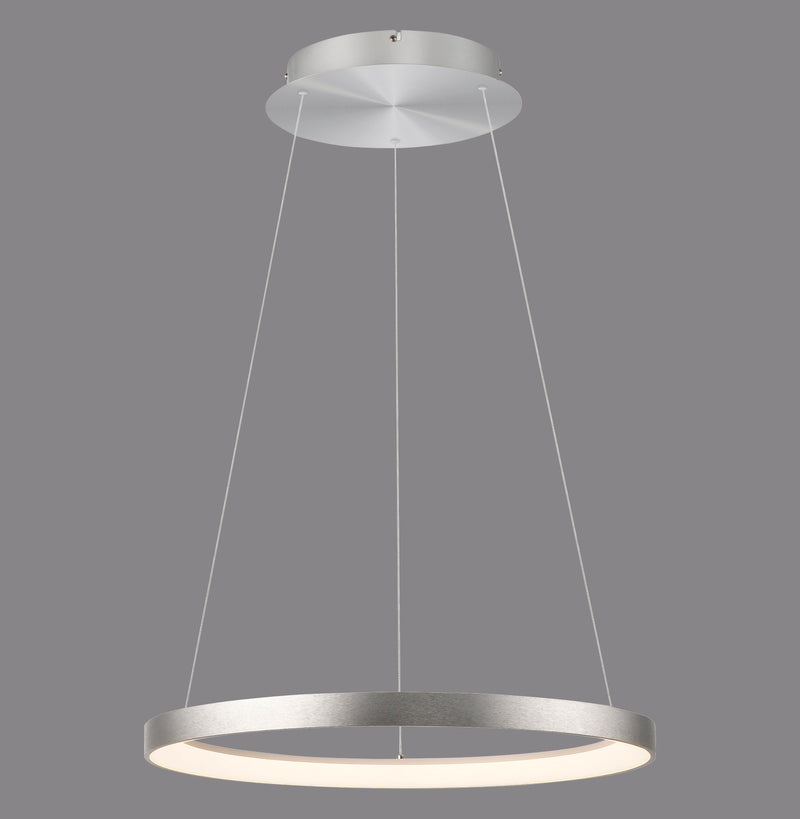 Lustra Paul Neuhaus HOOP LED Aluminiu