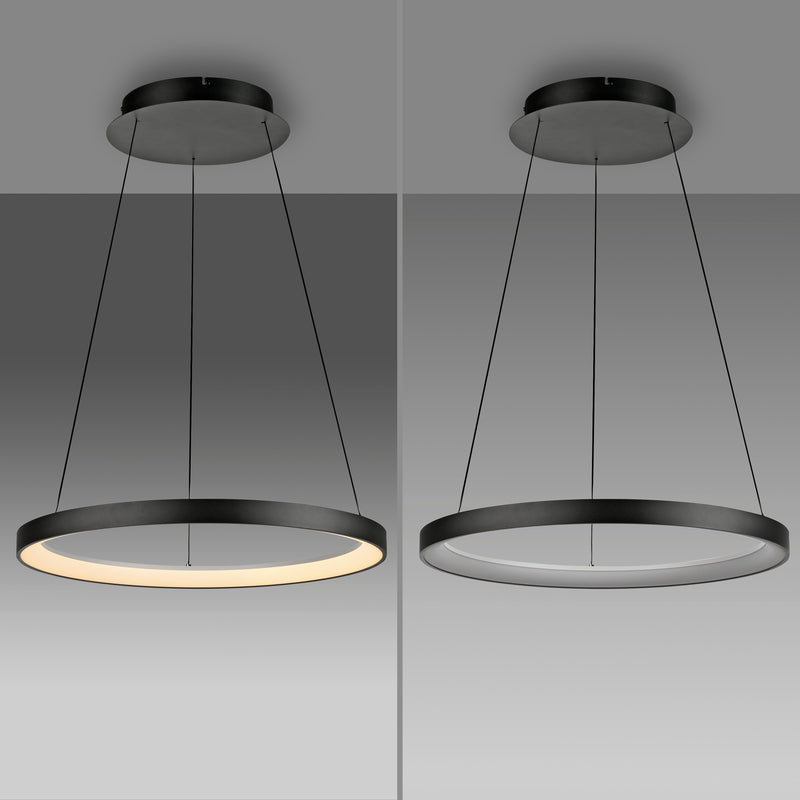 Lustra Paul Neuhaus HOOP LED Negru