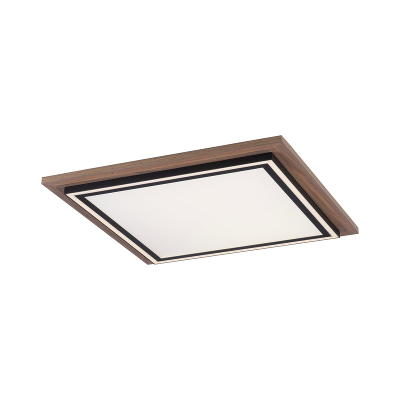 Plafoniera Paul Neuhaus PALMA 2xLED Lemn