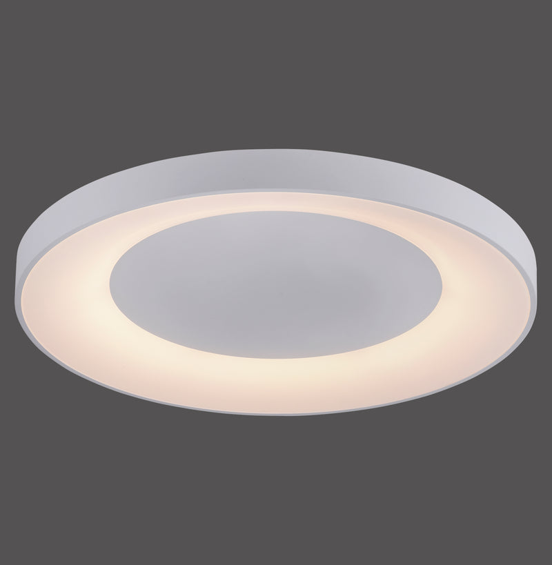 Plafoniera Paul Neuhaus ANIKA LED Alb