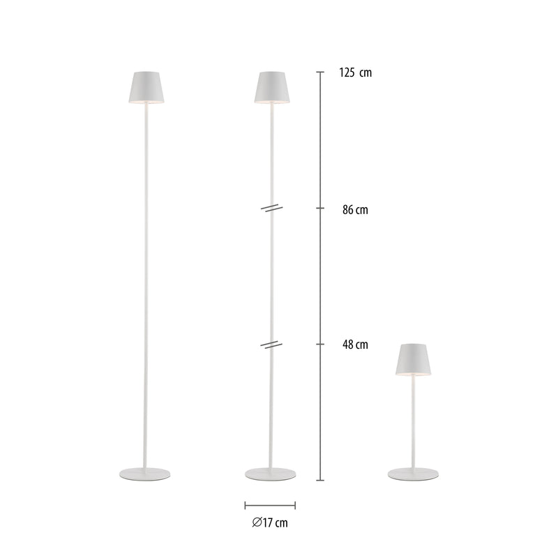 Lampa Exterior Paul Neuhaus EURIA LED Alb