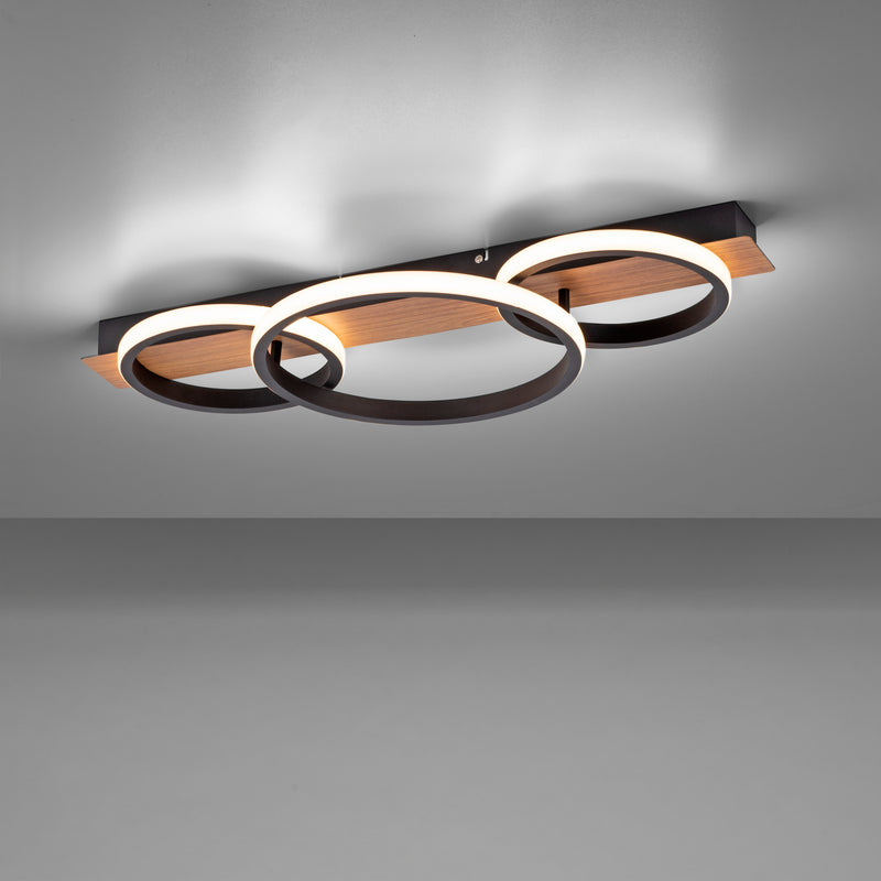 Plafoniera Paul Neuhaus TROOPER LED Lemn
