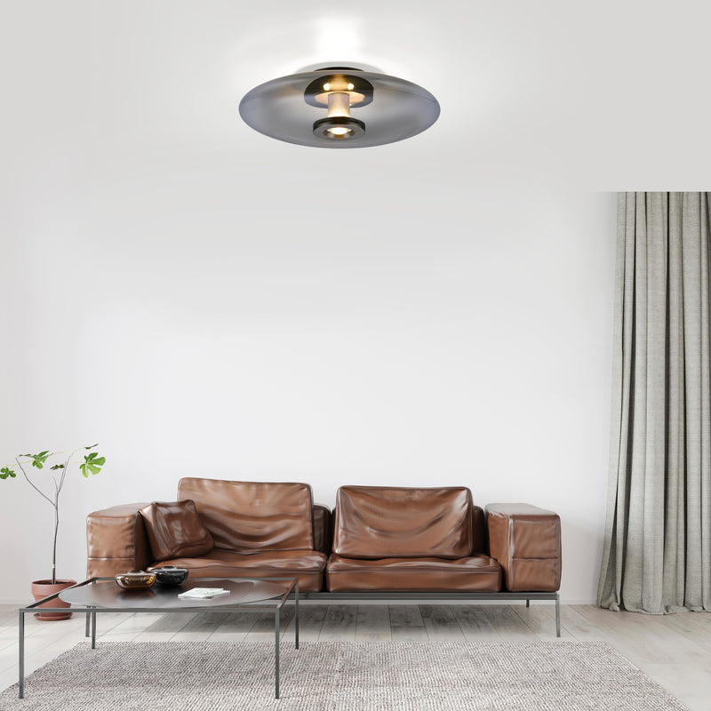 Plafoniera Paul Neuhaus PURE VITRUM 2xLED Gri