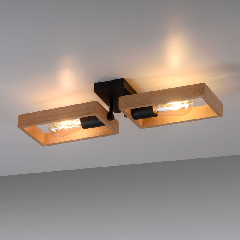 Plafoniera Paul Neuhaus FRANKY 2xE27 Negru