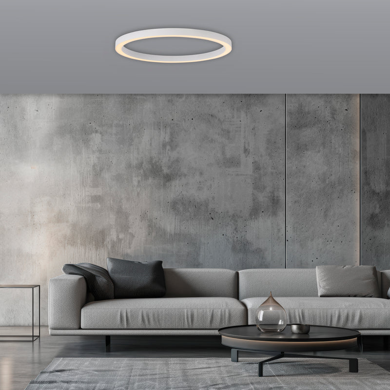 Plafoniera Paul Neuhaus PURE LINES ROUND LED Alb
