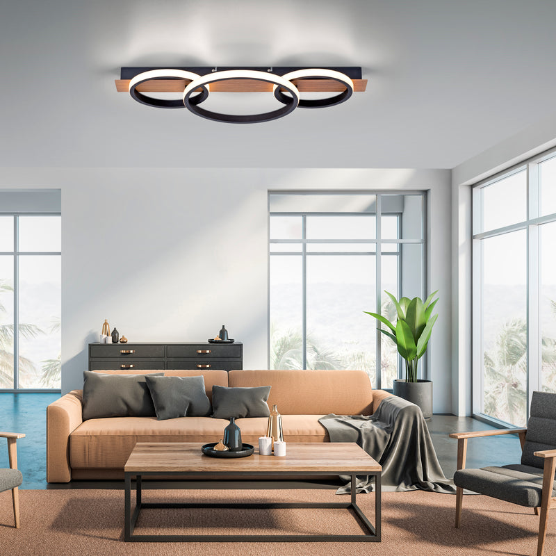 Plafoniera Paul Neuhaus TROOPER LED Lemn