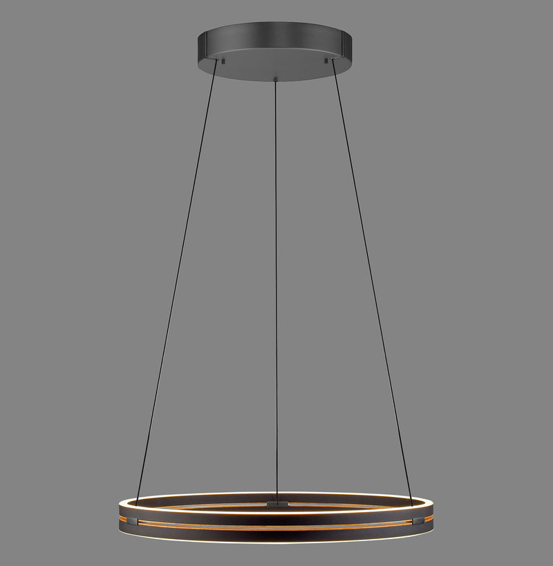 Lustra Paul Neuhaus PURE E-LOOP 2xLED Negru
