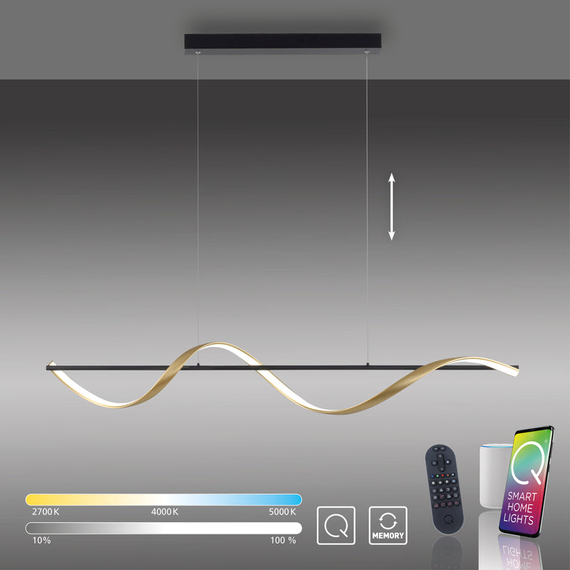 Lustra Paul Neuhaus Q-SWING LED Alama Mat