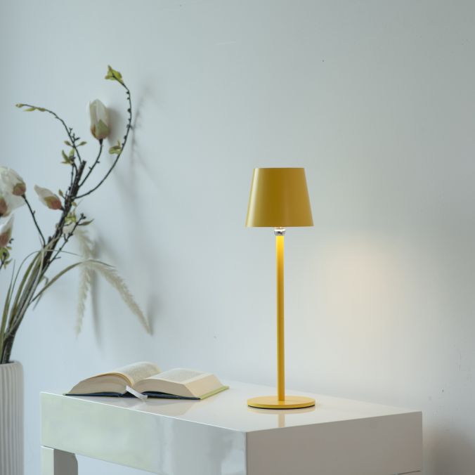 Veioza Paul Neuhaus BOTERIA LED Galben