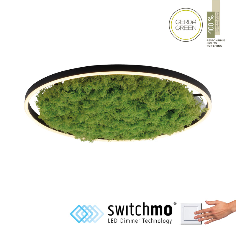 Plafoniera Zuma Line GREEN RITUS LED Muschi Natural