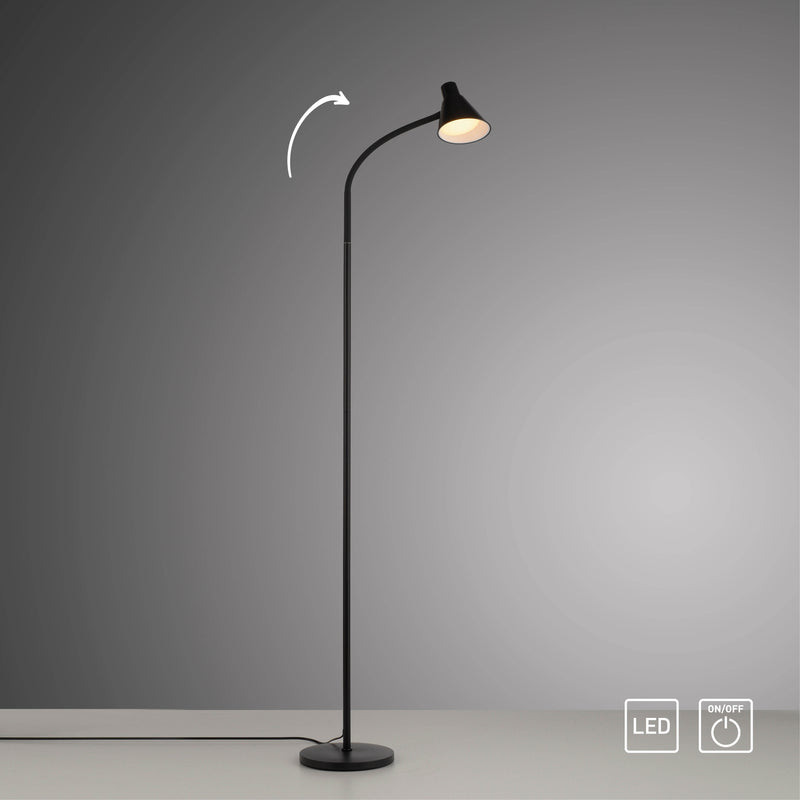 Lampadar Paul Neuhaus PIXIE LED Negru