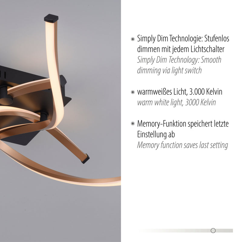 Plafoniera Paul Neuhaus POLINA 4xLED Negru