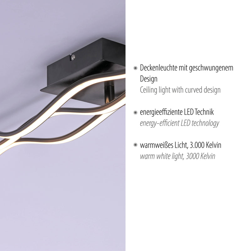 Plafoniera Paul Neuhaus WAVE 3xLED Negru