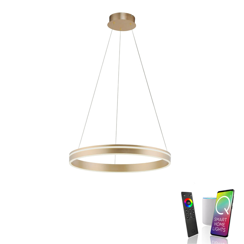 Lustra Paul Neuhaus Q-VITO LED Alama Mat