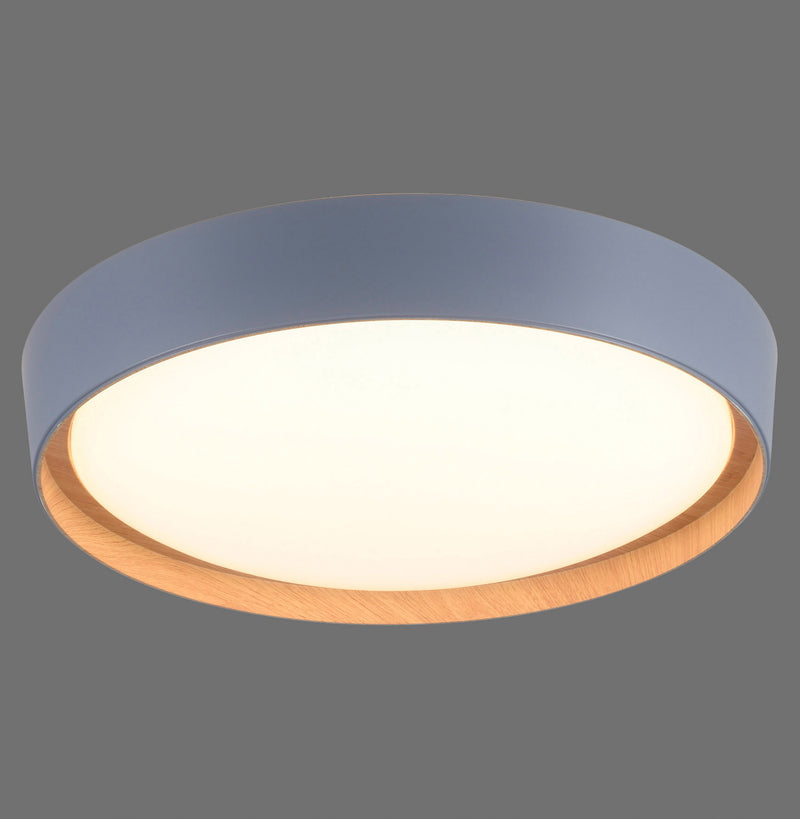 Plafoniera Paul Neuhaus EMILIA LED Gri