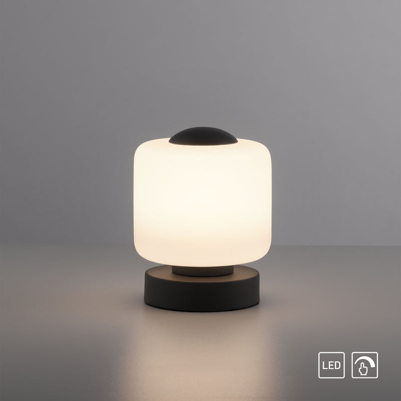 Veioza Paul Neuhaus BOTA LED Antracit