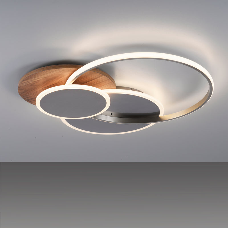 Plafoniera Paul Neuhaus PALMA LED Lemn