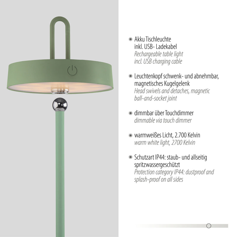 Lampa Exterior Paul Neuhaus AMAG LED Verde