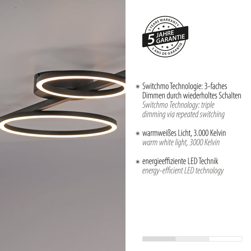 Plafoniera Paul Neuhaus MINI RITUS 4xLED Negru