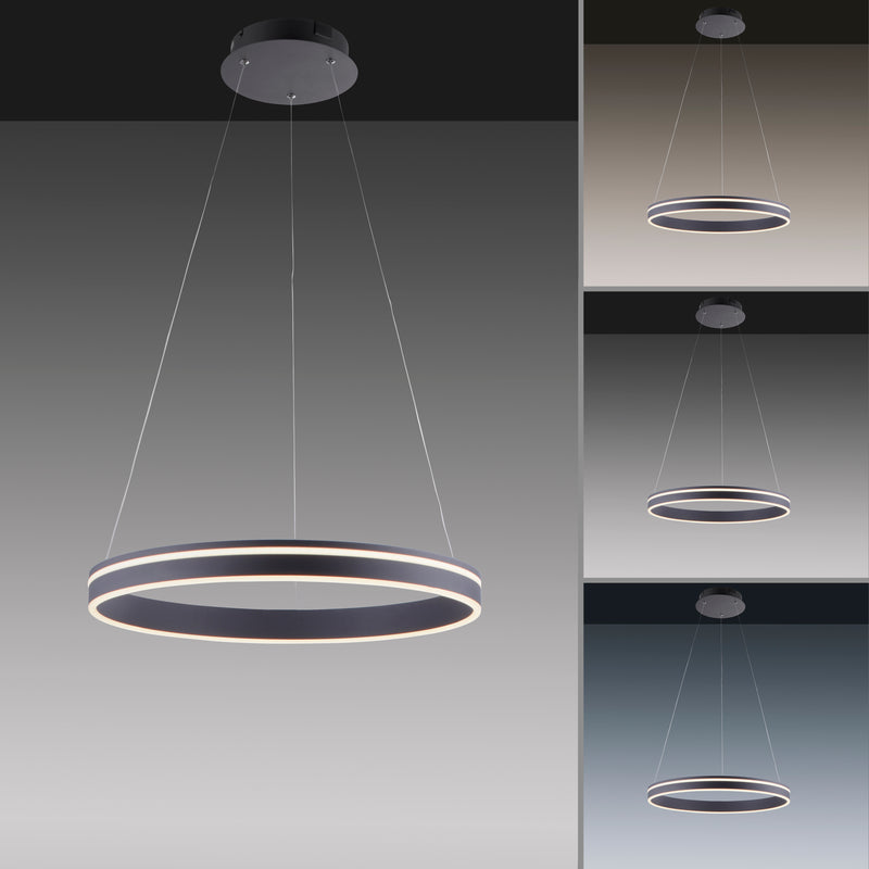 Lustra Paul Neuhaus Q-VITO LED Antracit