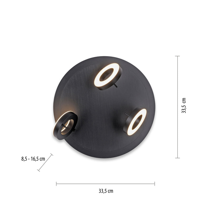 Plafoniera Paul Neuhaus SILEDA 3xLED Antracit