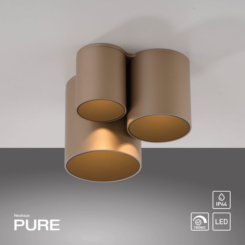 Plafoniera Paul Neuhaus PURE POINT LED Maro
