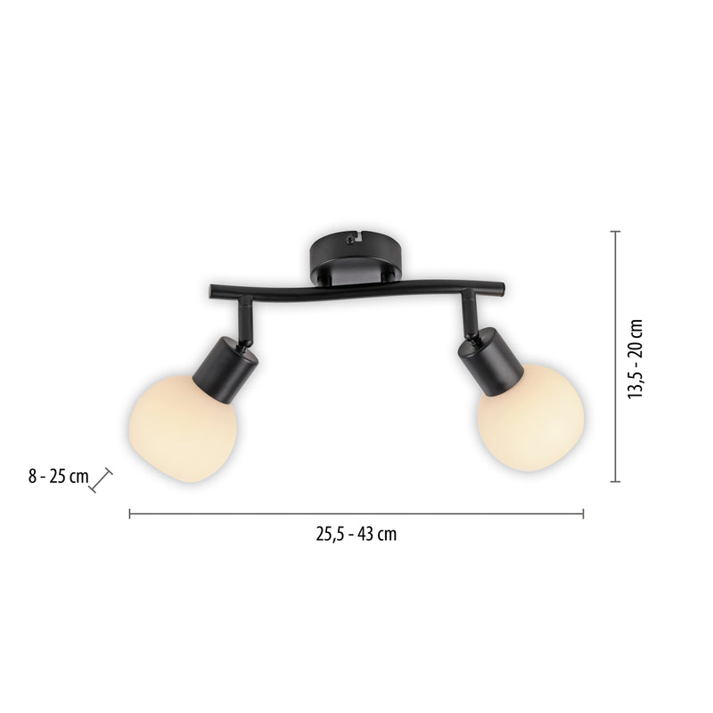 Plafoniera Paul Neuhaus LOKI 2xE14 Negru