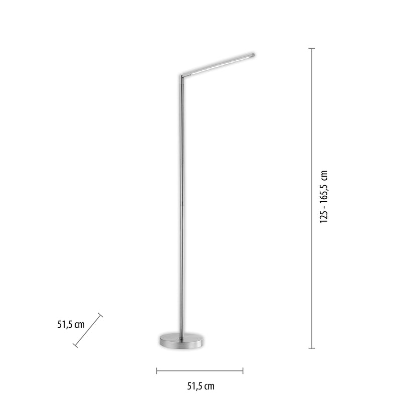Lampadar Paul Neuhaus DAWDA LED Argintiu