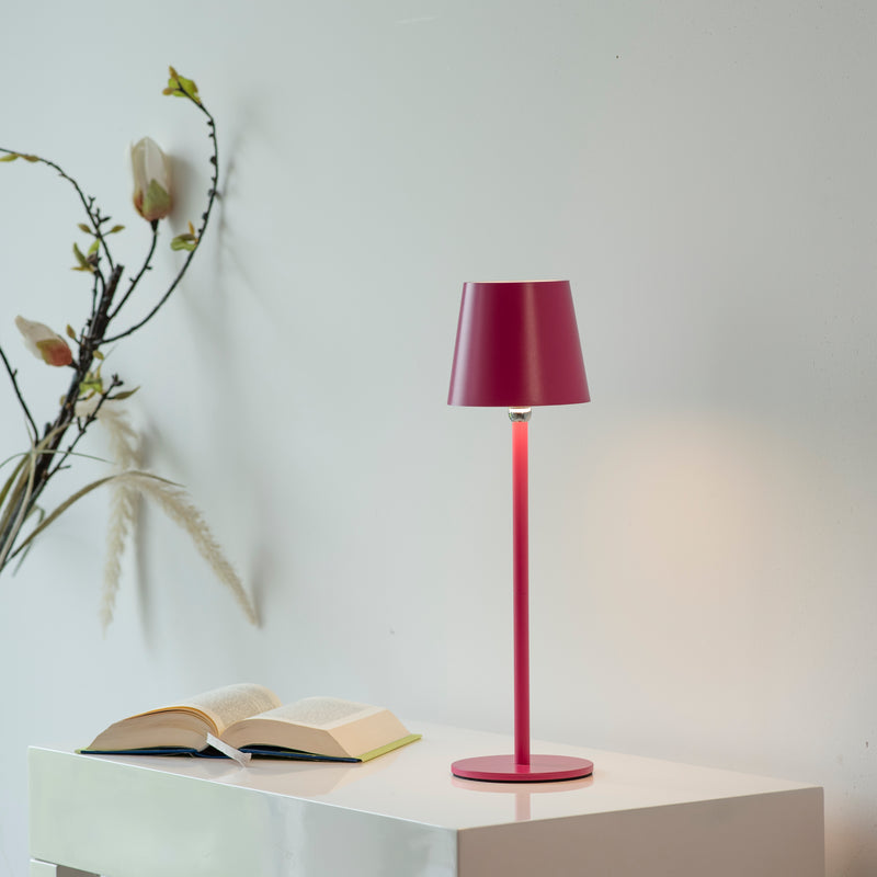Veioza Paul Neuhaus BOTERIA LED Roz