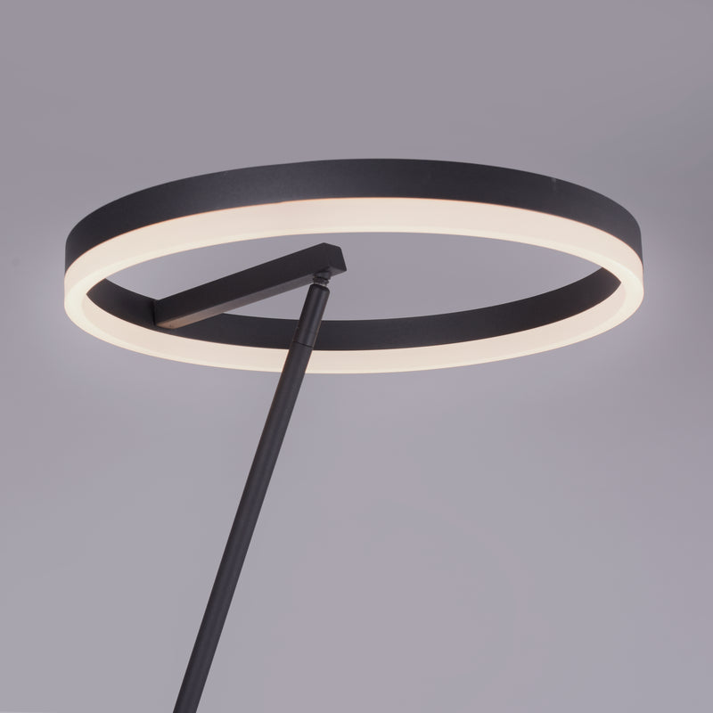 Lampadar Paul Neuhaus TITUS LED Antracit