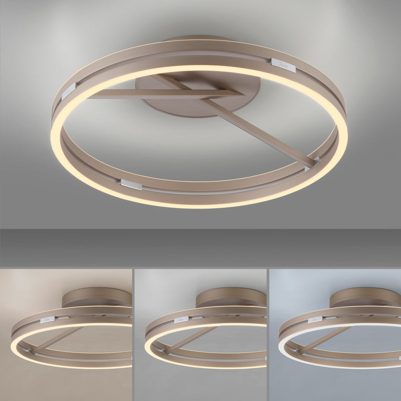 Plafoniera Paul Neuhaus PURE LOOP 2xLED Maro