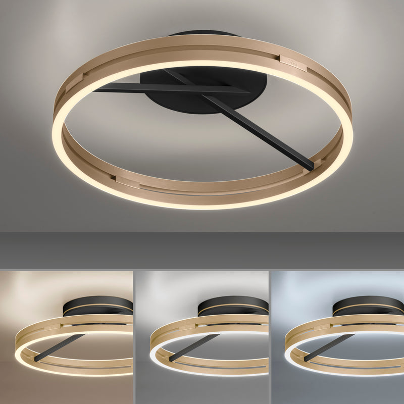 Plafoniera Paul Neuhaus PURE LOOP 2xLED Negru