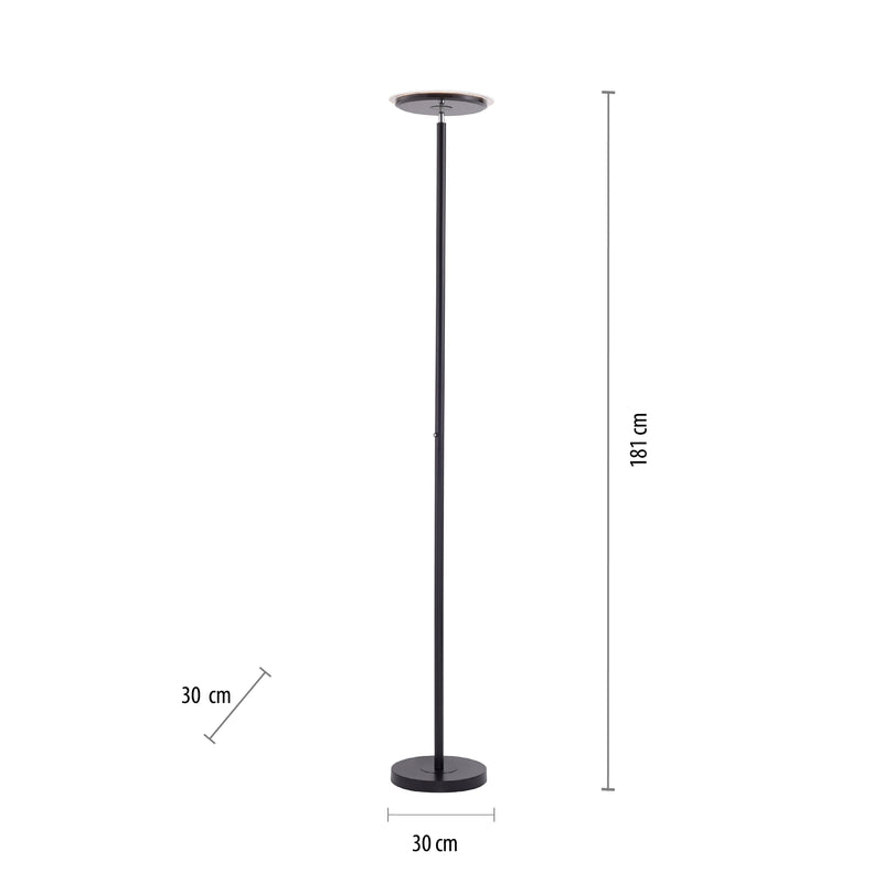 Lampadar Paul Neuhaus HANS LED Negru