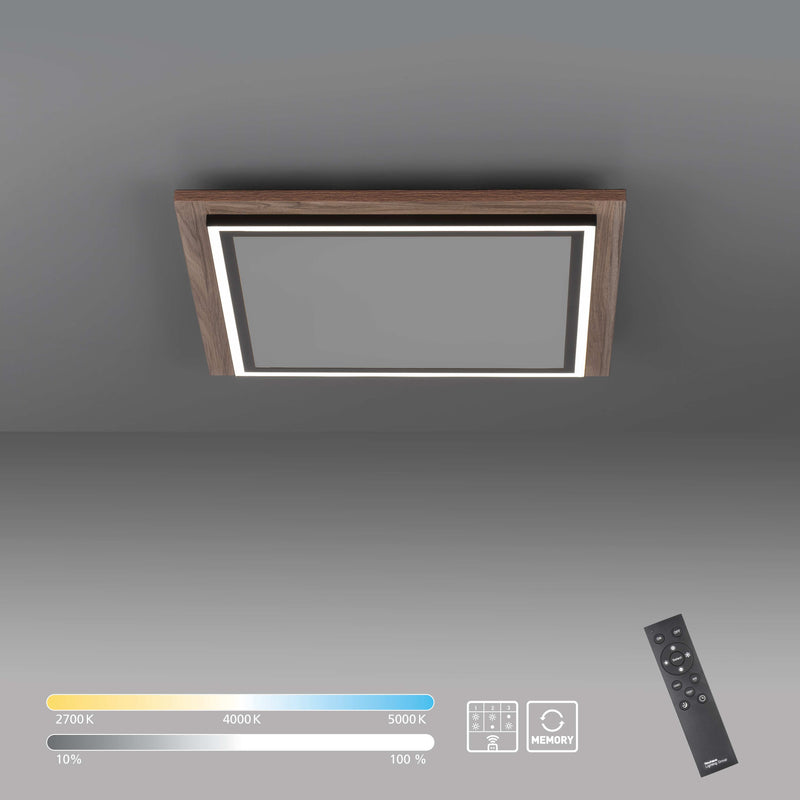 Plafoniera Paul Neuhaus PALMA 2xLED Lemn