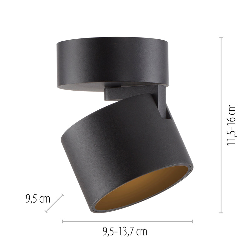 Plafoniera Paul Neuhaus PURE CUP LED Negru