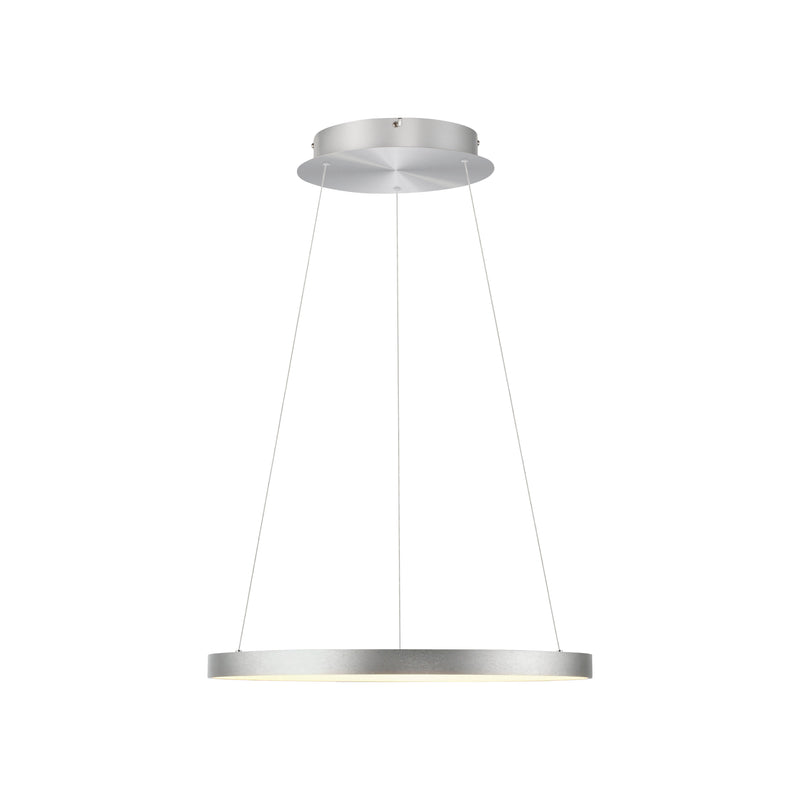 Lustra Paul Neuhaus HOOP LED Aluminiu