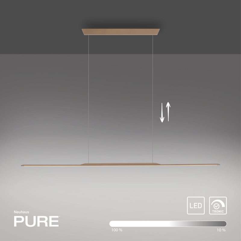 Lustra Paul Neuhaus PURE SURFACE LED Maro