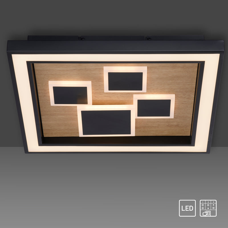 Plafoniera Paul Neuhaus ELIZA LED Negru