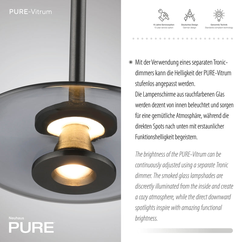Lustra Paul Neuhaus PURE VITRUM 6xLED Gri