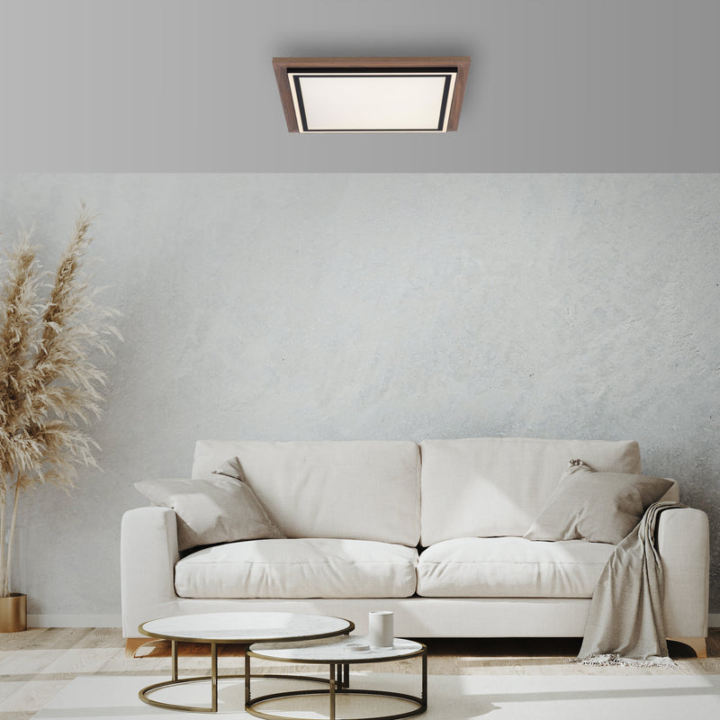 Plafoniera Paul Neuhaus PALMA 2xLED Lemn