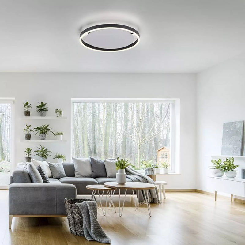Plafoniera Paul Neuhaus RITUS LED Antracit