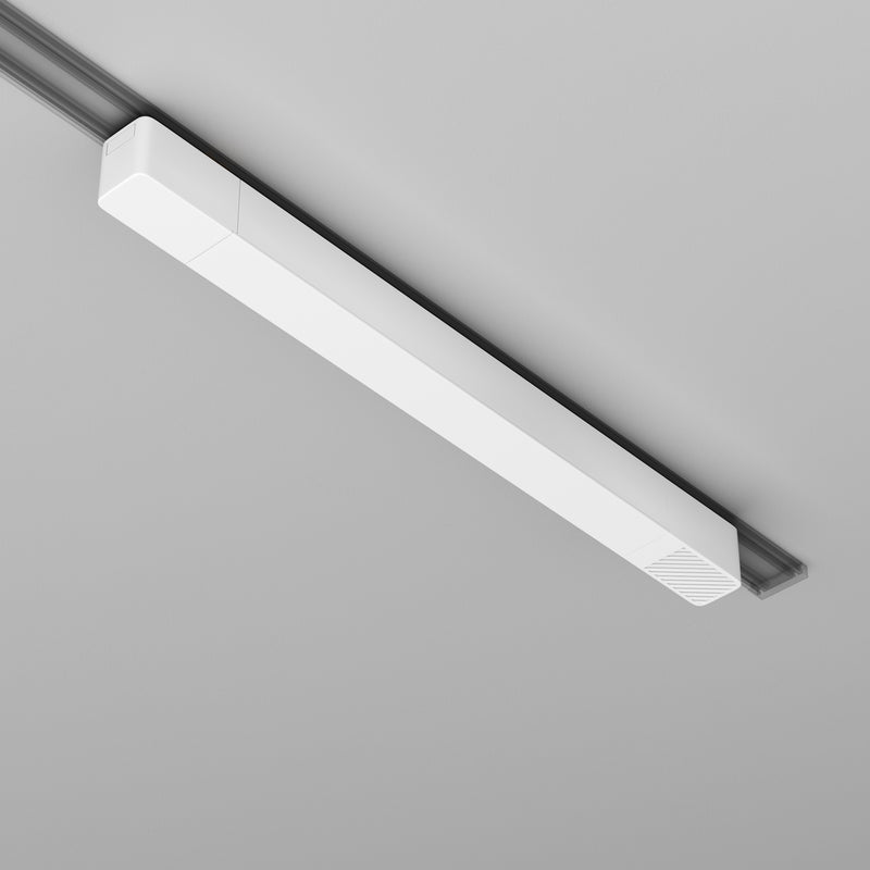 Sursa pentru alimentare, Accesorii pentru sistemul de șine Radity -1 Maytoni Technical Power Supply Radity, Alb, - 200W
