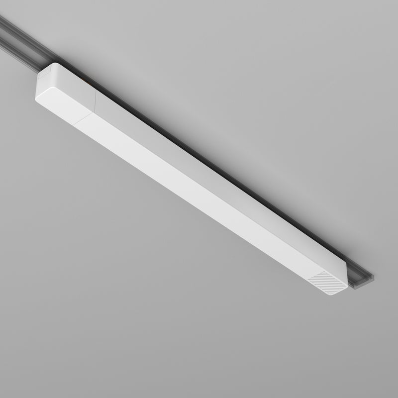 Sursa pentru alimentare, Accesorii pentru sistemul de șine Radity -1 Maytoni Technical Power Supply Radity, Alb, - 200W