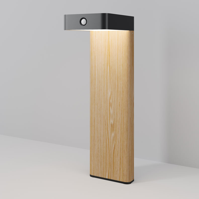 Lampa exterior Outdoor Negru